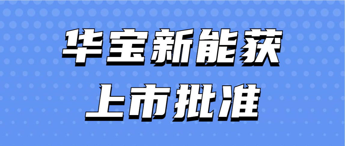 四年净利润翻61倍！又一新能源大卖获上市批准