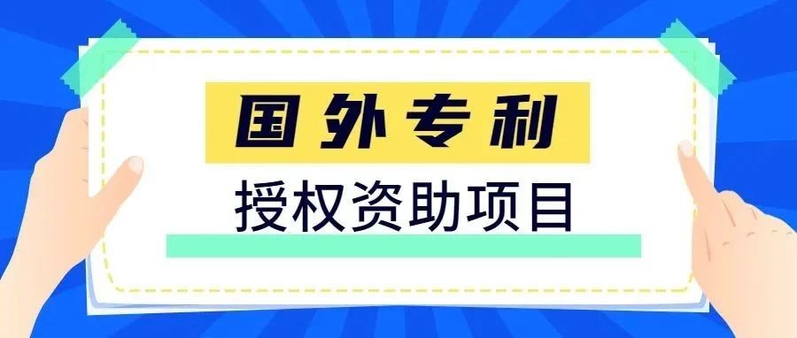 国外发明专利授权资助项目