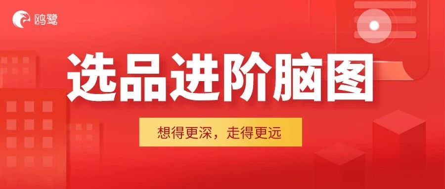 一份亚马逊选品进阶脑图，用去年卖家们血泪换来的总结！