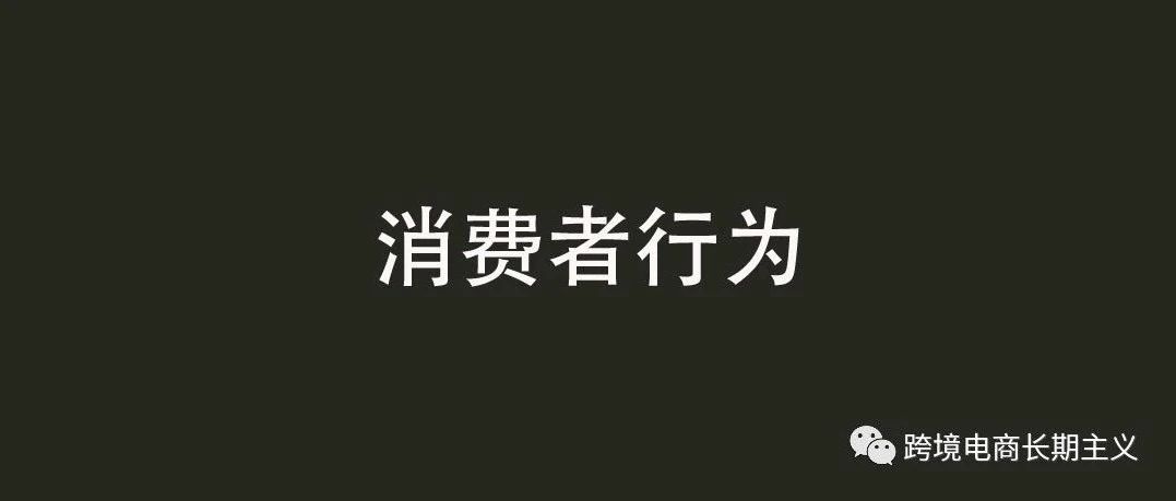 海外消费者行为引发的流量入口分析