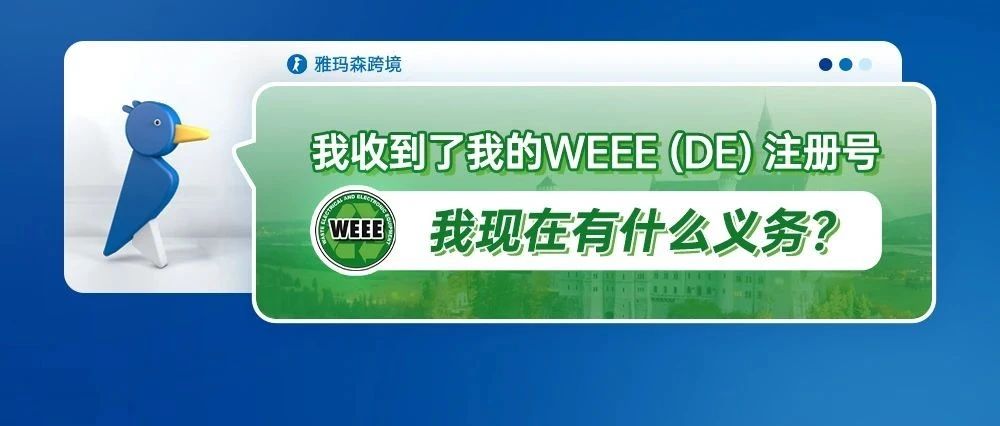 我收到了我的 WEEE (DE) 注册号。我现在有什么义务？