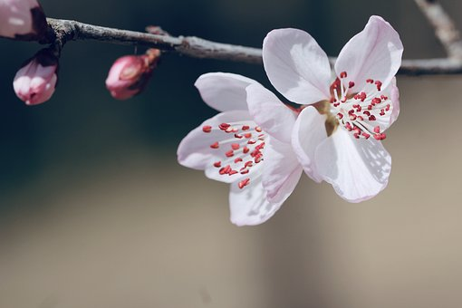 佛山从零开始学跨境电商-卖方通亚马逊跨境导航