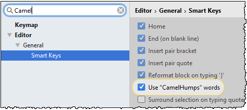 使用IntelliJ IDEA的CamelHumps功能