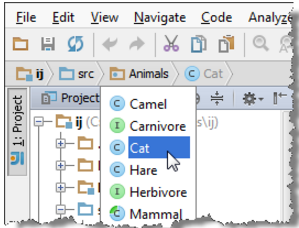打开IntelliJ IDEA文件进行编辑