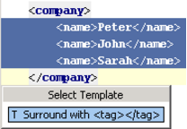 IntelliJ IDEA 包装标签（Tag）