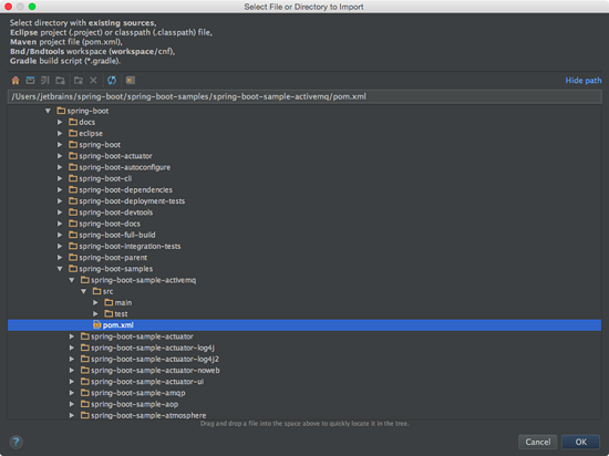 IntelliJ IDEA