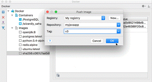 Docker：在容器中运行Java应用程序