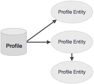 Profile Entity类