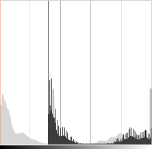 Basic_Linear_Transform_Tutorial_hist_beta