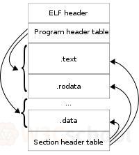 ELF格式结构