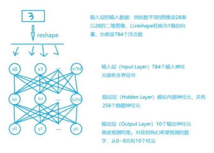 多层感知器模型